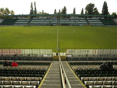 The Albert Stadium