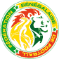 Senegal national football team logo